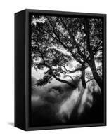 Misty Black-Design Fabrikken-Framed Stretched Canvas