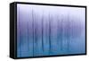 Misty Blue Pond-Osamu Asami-Framed Stretched Canvas