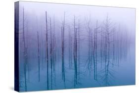 Misty Blue Pond-Osamu Asami-Stretched Canvas