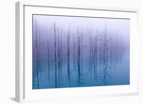 Misty Blue Pond-Osamu Asami-Framed Photographic Print