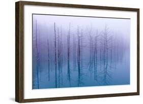 Misty Blue Pond-Osamu Asami-Framed Photographic Print