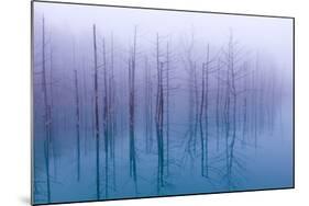 Misty Blue Pond-Osamu Asami-Mounted Photographic Print