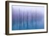 Misty Blue Pond-Osamu Asami-Framed Photographic Print