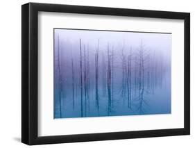 Misty Blue Pond-Osamu Asami-Framed Photographic Print