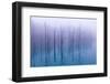 Misty Blue Pond-Osamu Asami-Framed Photographic Print