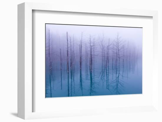 Misty Blue Pond-Osamu Asami-Framed Photographic Print