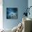 Misty Blue-Philippe Sainte-Laudy-Photographic Print displayed on a wall