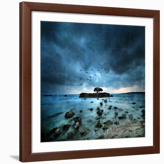 Misty Blue-Philippe Sainte-Laudy-Framed Photographic Print