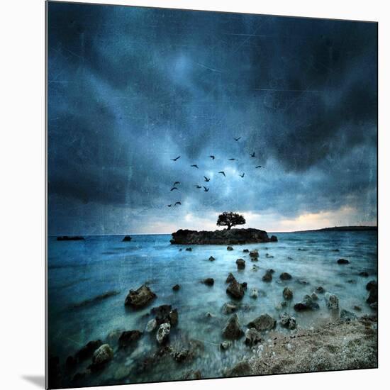 Misty Blue-Philippe Sainte-Laudy-Mounted Photographic Print