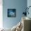 Misty Blue-Philippe Sainte-Laudy-Framed Stretched Canvas displayed on a wall