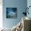 Misty Blue-Philippe Sainte-Laudy-Stretched Canvas displayed on a wall