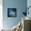 Misty Blue-Philippe Sainte-Laudy-Framed Stretched Canvas displayed on a wall