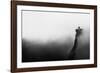 Misty Canyon with Sharp Cliff Iin Delika-Mimadeo-Framed Photographic Print