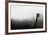 Misty Canyon with Sharp Cliff Iin Delika-Mimadeo-Framed Photographic Print