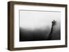 Misty Canyon with Sharp Cliff Iin Delika-Mimadeo-Framed Photographic Print