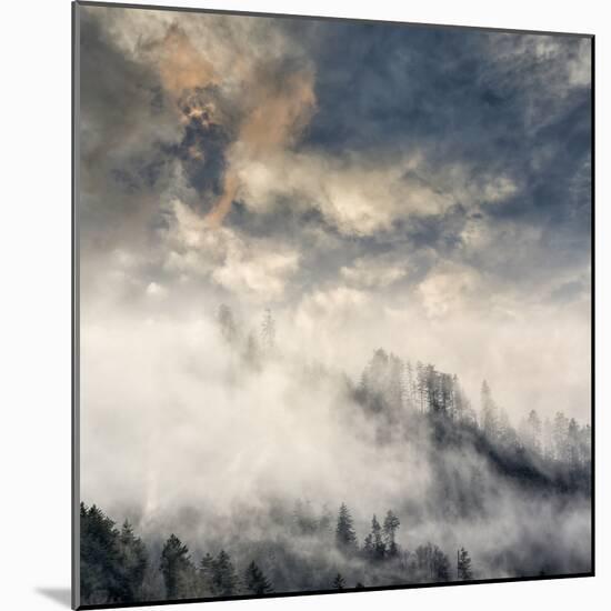 Misty Cloud filled valley from Morton Overlook, Great Smoky Mountains, National Park, Tennessee-Adam Jones-Mounted Photographic Print