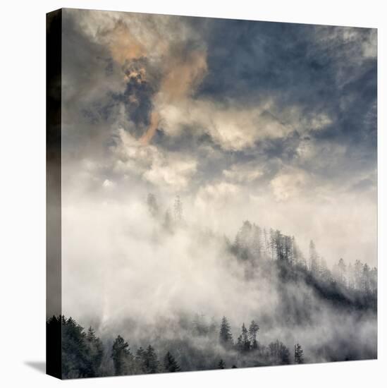 Misty Cloud filled valley from Morton Overlook, Great Smoky Mountains, National Park, Tennessee-Adam Jones-Stretched Canvas