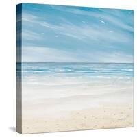 Misty Coastal Days I-Kingsley-Stretched Canvas