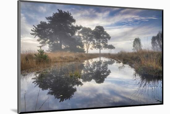 Misty cool Autumn daybreak at Strensall Common Nature Reserve near York, North Yorkshire-John Potter-Mounted Photographic Print