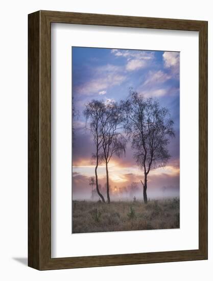 Misty cool Autumn daybreak at Strensall Common Nature Reserve near York, North Yorkshire-John Potter-Framed Photographic Print