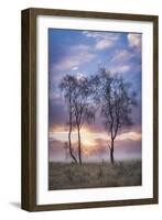 Misty cool Autumn daybreak at Strensall Common Nature Reserve near York, North Yorkshire-John Potter-Framed Photographic Print