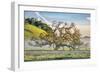 Misty Country Oak Tree, Petaluma, Sonoma County, California-Vincent James-Framed Photographic Print