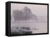 Misty Dawn over Heron Pond, Bushy Park, London, England, United Kingdom, Europe-Stuart Hazel-Framed Stretched Canvas