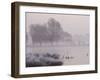 Misty Dawn over Heron Pond, Bushy Park, London, England, United Kingdom, Europe-Stuart Hazel-Framed Photographic Print