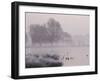 Misty Dawn over Heron Pond, Bushy Park, London, England, United Kingdom, Europe-Stuart Hazel-Framed Photographic Print