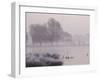 Misty Dawn over Heron Pond, Bushy Park, London, England, United Kingdom, Europe-Stuart Hazel-Framed Photographic Print