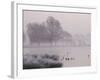 Misty Dawn over Heron Pond, Bushy Park, London, England, United Kingdom, Europe-Stuart Hazel-Framed Photographic Print