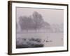 Misty Dawn over Heron Pond, Bushy Park, London, England, United Kingdom, Europe-Stuart Hazel-Framed Photographic Print