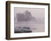 Misty Dawn over Heron Pond, Bushy Park, London, England, United Kingdom, Europe-Stuart Hazel-Framed Photographic Print