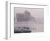 Misty Dawn over Heron Pond, Bushy Park, London, England, United Kingdom, Europe-Stuart Hazel-Framed Photographic Print