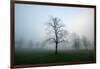 Misty Dawn, Victoria Park, Bristol, England, United Kingdom, Europe-Bill Ward-Framed Premium Photographic Print
