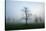 Misty Dawn, Victoria Park, Bristol, England, United Kingdom, Europe-Bill Ward-Stretched Canvas