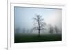 Misty Dawn, Victoria Park, Bristol, England, United Kingdom, Europe-Bill Ward-Framed Photographic Print