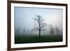 Misty Dawn, Victoria Park, Bristol, England, United Kingdom, Europe-Bill Ward-Framed Photographic Print