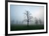 Misty Dawn, Victoria Park, Bristol, England, United Kingdom, Europe-Bill Ward-Framed Photographic Print