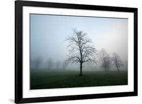 Misty Dawn, Victoria Park, Bristol, England, United Kingdom, Europe-Bill Ward-Framed Photographic Print