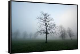 Misty Dawn, Victoria Park, Bristol, England, United Kingdom, Europe-Bill Ward-Framed Stretched Canvas