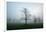 Misty Dawn, Victoria Park, Bristol, England, United Kingdom, Europe-Bill Ward-Framed Photographic Print