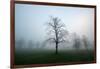 Misty Dawn, Victoria Park, Bristol, England, United Kingdom, Europe-Bill Ward-Framed Photographic Print