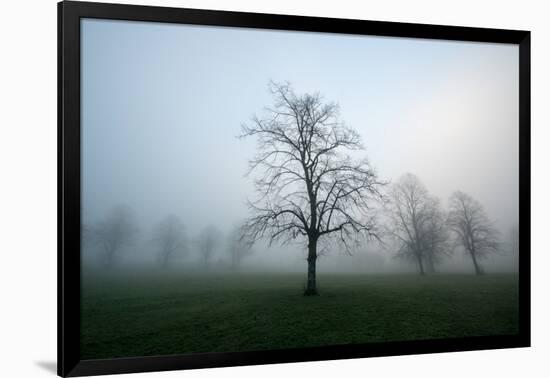 Misty Dawn, Victoria Park, Bristol, England, United Kingdom, Europe-Bill Ward-Framed Photographic Print