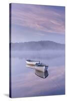 Misty daybreak over Loch Rusky in May, Aberfoyle, The Trossachs, Scotland, United Kingdom, Europe-John Potter-Stretched Canvas