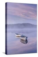 Misty daybreak over Loch Rusky in May, Aberfoyle, The Trossachs, Scotland, United Kingdom, Europe-John Potter-Stretched Canvas