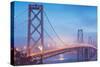 Misty Evening Lights on the Bay Bridge, San Francisco, California-Vincent James-Stretched Canvas