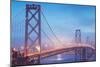 Misty Evening Lights on the Bay Bridge, San Francisco, California-Vincent James-Mounted Premium Photographic Print