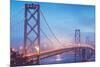 Misty Evening Lights on the Bay Bridge, San Francisco, California-Vincent James-Mounted Photographic Print