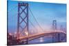 Misty Evening Lights on the Bay Bridge, San Francisco, California-Vincent James-Stretched Canvas